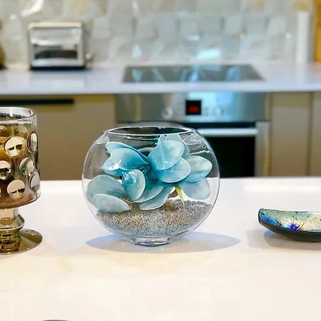 Apartment Blue Wave