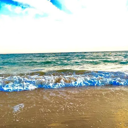 Apartment Blue Wave *